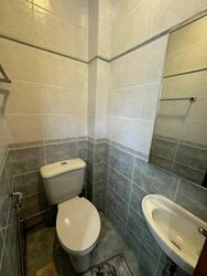 Peppermint Grove (D11), Apartment #507725121